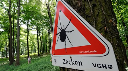 Die Zecken-Saison beginnt bald wieder. (Archivbild) / Foto: Holger Hollemann/dpa