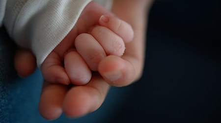 Eine Mutter aus Cuxhaven bietet ihr Baby im Internet zum Verschenken an. (Symbolbild) / Foto: Sebastian Gollnow/dpa