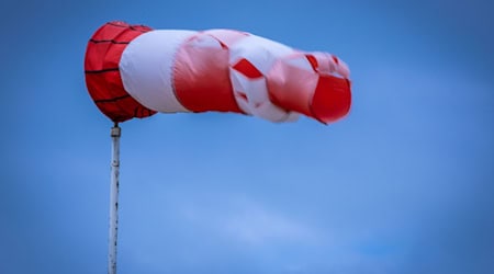Der Pilot wurde nicht verletzt. (Symbolbild) / Foto: Jens Büttner/dpa