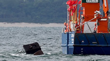 Der Einsatz von Schleppnetzen in der Fischerei verursacht laut einer Studie wohl hohe Schäden. (Archivfoto) / Foto: Bernd Wüstneck/dpa