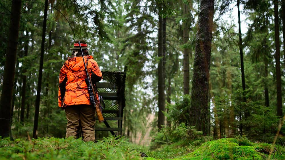 Die Empörung bei vielen der rund 60.000 Jägerinnen und Jägern in Niedersachsen ist groß. (Symbolbild) / Foto: Philipp Schulze/dpa