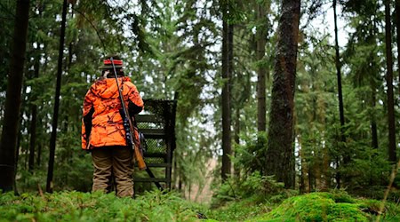 Die Empörung bei vielen der rund 60.000 Jägerinnen und Jägern in Niedersachsen ist groß. (Symbolbild) / Foto: Philipp Schulze/dpa