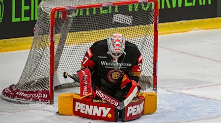 Maximilian Franzreb wechselt zu den Adler Mannheim. / Foto: Armin Weigel/dpa