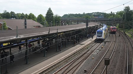 Vom Bahnhof Harburg wurde 27-Jährige auf das Revier gebracht. (Archivbild) / Foto: Marcus Brandt/dpa