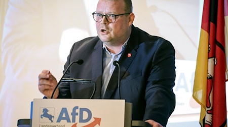AfD-Politiker Schledde wertet die Aussetzung der Einstufung seiner Partei als rechtsextremistisch als Erfolg. (Archivbild) / Foto: Focke Strangmann/dpa