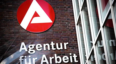 Laut Arbeitsagentur sinkt die Zahl der Arbeitslosen leicht. (Symbolbild) / Foto: Sina Schuldt/dpa/dpa-tmn