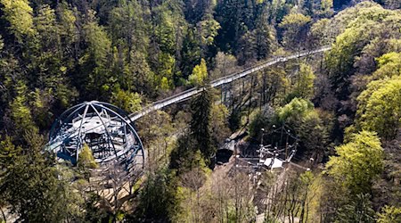 Mit dem Baumwipfelpfad begann vor zehn Jahren der Ausbau des touristischen Angebotes am Burgberg in Bad Harzburg. (Archivbild)  / Foto: Swen Pförtner/dpa