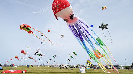 Farbspektakel am Himmel: Zum Drachenfest am Meer wurden mehr als 100 professionelle Drachensportler erwartet. / Foto: Lars Penning/dpa