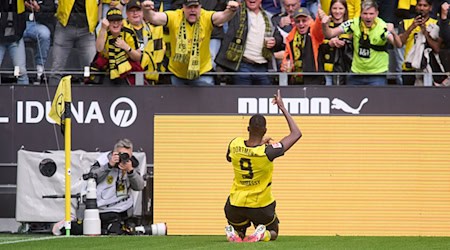 Serhou Guirassy erzielte einen Doppelpack für den BVB / Foto: Bernd Thissen/dpa