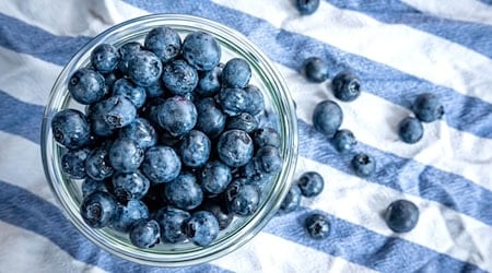 Beeren statt Chips oder Nüsschen: Heidelbeeren, auch Blaubeeren genannt, liegen auf einem Esstisch und werden gern gesnackt. / Foto: Sina Schuldt/dpa