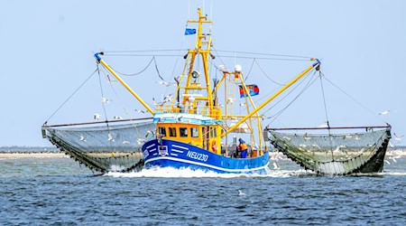 Der Verband der Deutschen Kutter- und Küstenfischer ist vor Gericht gescheitert. / Foto: Sina Schuldt/dpa