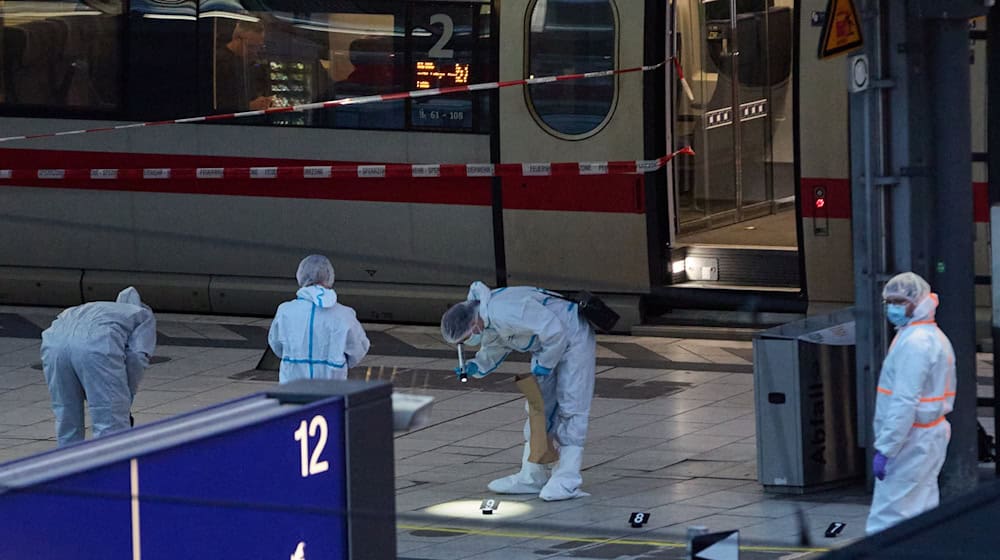 Drei Tage nach der Bluttat am Hamburger Hauptbahnhof werden mehr Details zur mutmaßlichen Täterin bekannt.  / Foto: Georg Wendt/dpa