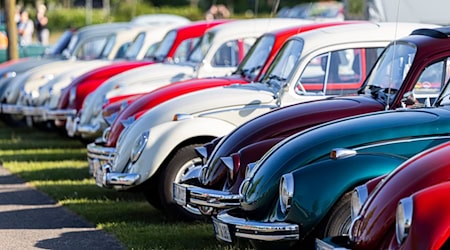 Autofans zeigen ihre klassischen Volkswagen in Hannover. / Foto: Michael Matthey/dpa