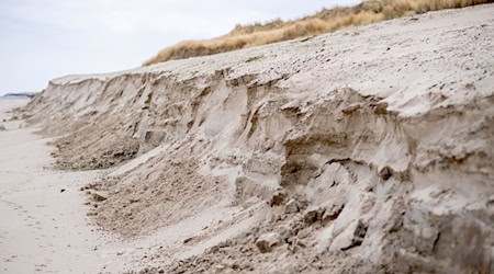 Rund 25.000 Tonnen Sand sollen am Strand vor den Nordostdünen auf Wangerooge aufgebracht werden - so soll die Düne vor Sturmfluten geschützt werden. (Archivbild) / Foto: Hauke-Christian Dittrich/dpa