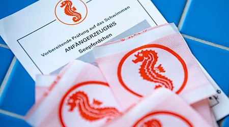 Mit dem Förderprogramm sollen vor allem Lehrschwimmbecken erneuert werden. (Symbolbild) / Foto: Fabian Sommer/dpa