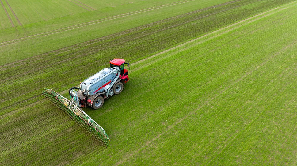 In Niedersachsen gelten vor allem in vielen Regionen mit intensiver Tierhaltung Einschränkungen bei der Düngung. (Symbolbild) / Foto: Philipp Schulze/dpa