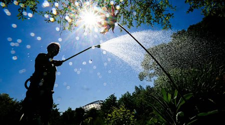 Vom 1. Juni bis zum 30. September schränkt die Region Hannover die Wassernutzung für bestimmte Gruppen und zu bestimmten Zeiten ein.  / Foto: Julian Stratenschulte/dpa