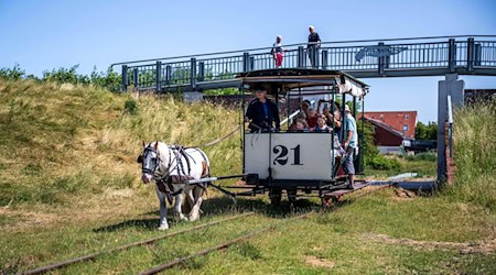 Viele Urlauber fahren im Sommer gern mit der historischen Pferdebahn. (Archivbild) / Foto: Sina Schuldt/dpa