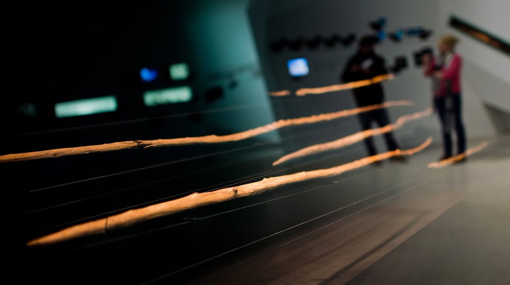 Ein internationales Forschungsteam berichtet, die hölzernen Waffen seien nur etwa 200.000 Jahre alt - statt 300.000 Jahre wie bislang vermutet. (Archivbild) / Foto: Julian Stratenschulte/dpa