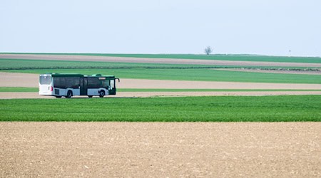 Die Warnstreiks bei neun regionalen Busunternehmen in Niedersachsen sind vorerst vorbei. Bis Mitte 2027 gibt es eine Tarifeinigung. (Archivfoto) / Foto: Julian Stratenschulte/dpa