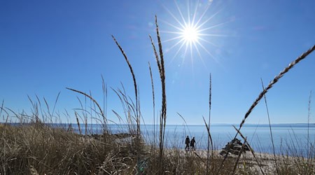Sonniges und trockenes Wetter wirkt sich auch auf die Waldbrandgefahr aus.  / Foto: Christian Charisius/dpa