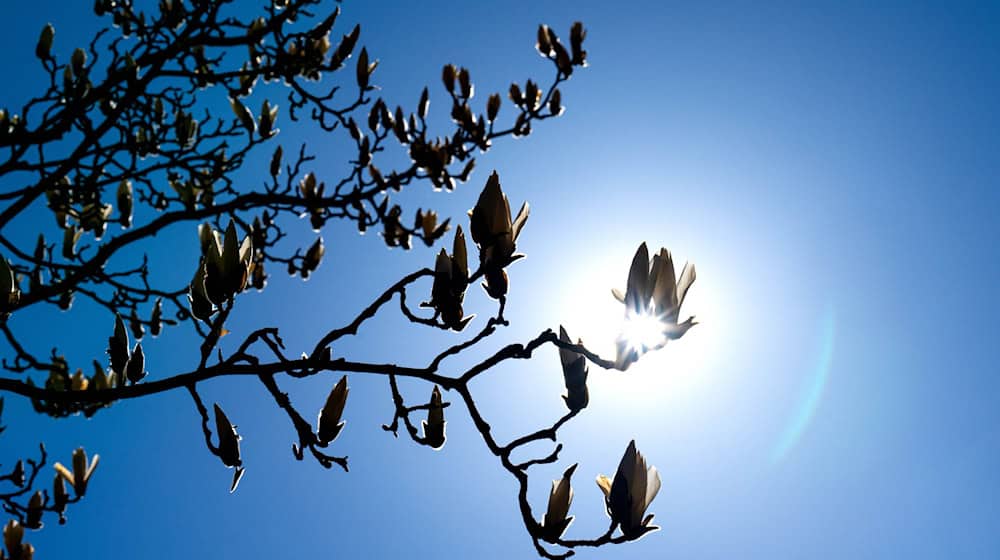 In Bremen und Niedersachsen wird es sonnig. (Symbolbild) / Foto: Sina Schuldt/dpa