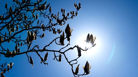 In Bremen und Niedersachsen wird es sonnig. (Symbolbild) / Foto: Sina Schuldt/dpa