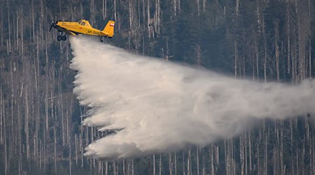Am Kleinen Winterberg nahe Schierke wird ein Waldbrand auch aus der Luft bekämpft. (Archivbild)  / Foto: Swen Pförtner/dpa