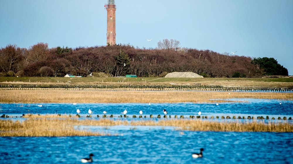 In der Nähe des Norderneyer Leuchtturms in der Inselmitte sollen die neuen Stromkabel unterirdisch verlaufen. (Archivbild) / Foto: Hauke-Christian Dittrich/dpa
