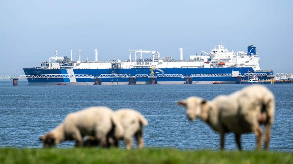 Von dem Terminalschiff «Excelsior» wird seit Freitag Gas ins deutsche Gasnetz eingespeist. (Archivbild).  / Foto: Sina Schuldt/dpa