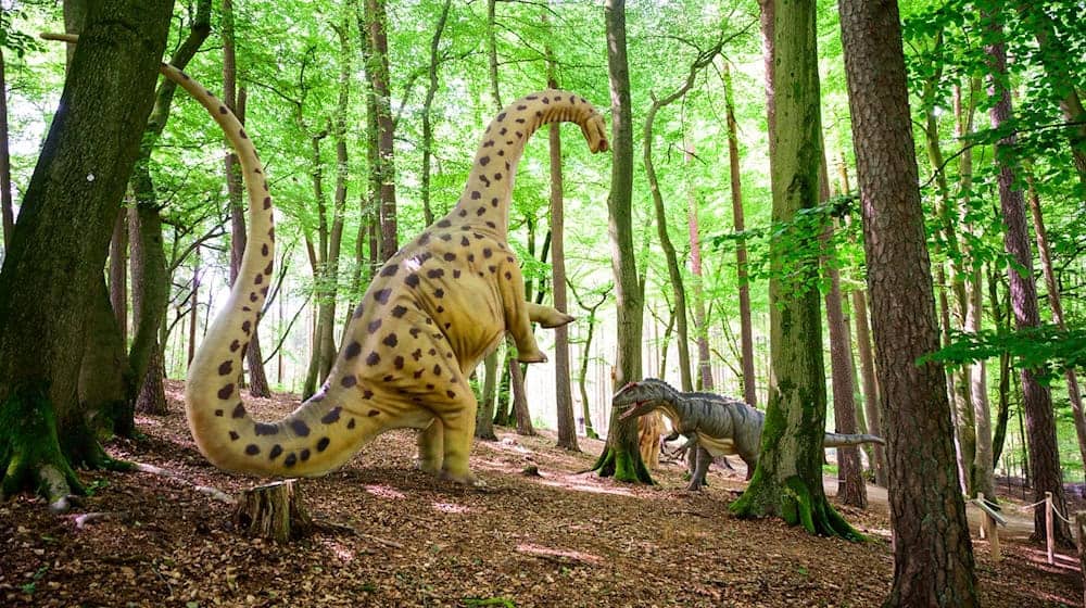Im Wildpark Schwarze Berge können Besucher die Spuren der Dinosaurier verfolgen.  / Foto: Philipp Schulze/dpa