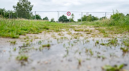 In Vechta ist der Bereich um ein Regenrückhaltebecken gesperrt, es wird dort versucht, einen Alligator mit einer Lebendfalle einzufangen.  / Foto: Hauke-Christian Dittrich/dpa