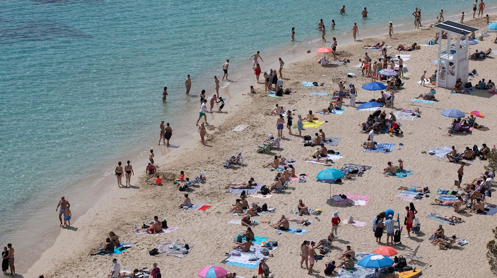 Mallorca bleibt beliebt – doch viele Tui-Urlauber zieht es im Winter verstärkt in die Ferne. (Archivbild) / Foto: Clara Margais/dpa