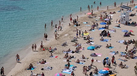 Mallorca bleibt beliebt – doch viele Tui-Urlauber zieht es im Winter verstärkt in die Ferne. (Archivbild) / Foto: Clara Margais/dpa
