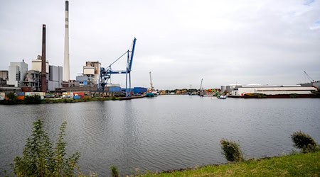 Der Industriehafen in Bremen: Beim Ablegen eines Schiffs kam es hier zu einem Unfall. (Archivbild) / Foto: Sina Schuldt/dpa