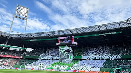 Fans von Werder Bremen. / Foto: Carmen Jaspersen/dpa