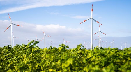 In Nord- und Ostdeutschland sollen mehrere neue Windparks entstehen. (Archivfoto) / Foto: Julian Stratenschulte/dpa