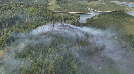 Der Waldbrand ereignete sich in der Nähe der Granetalsperre. / Foto: -/Feuerwehr Goslar/dpa