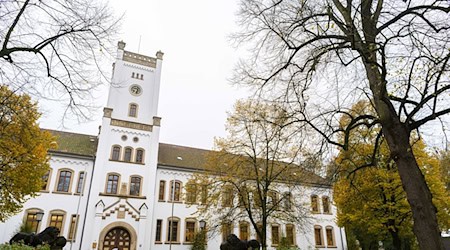 Nach dem gewaltsamen Tod einer 65 Jahre alten Frau in Emden klagt die Staatsanwaltschaft ihren Ehemann wegen Totschlags an. (Archivbild) / Foto: Mohssen Assanimoghaddam/dpa