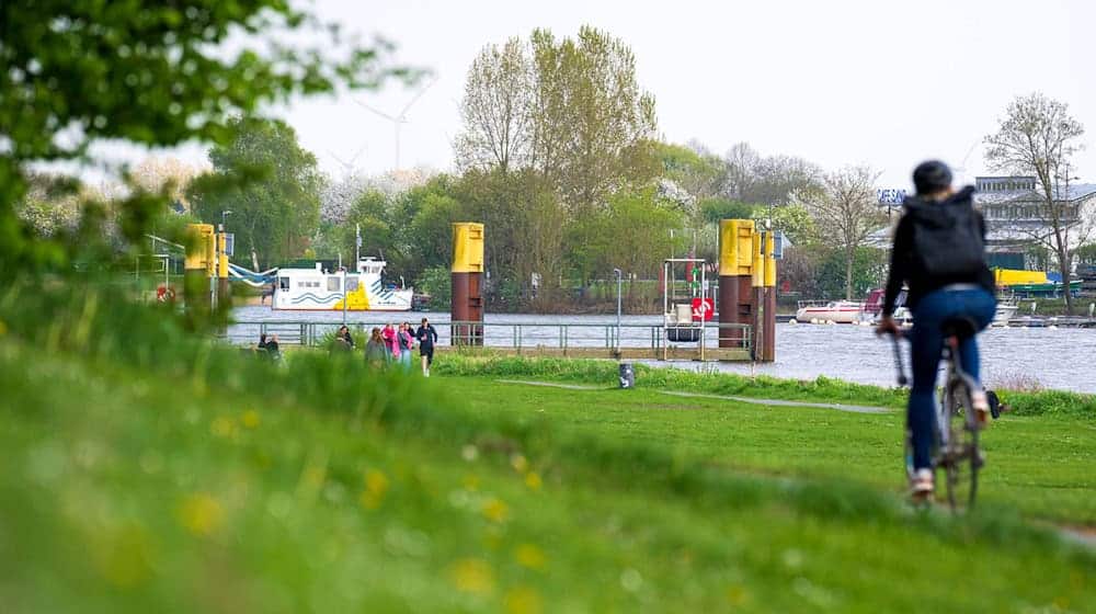 Für die Erhebung wurden mehr als 200.000 Radfahrer in Deutschland befragt. (Archivbild) / Foto: Sina Schuldt/dpa