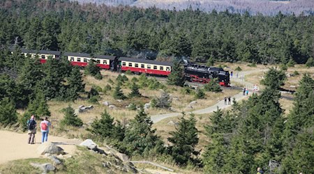 Fahrgäste der Harzer Schmalspurbahnen müssen demnächst 250 Euro zahlen, wenn sie gegen das Rauchverbot in den Zügen verstoßen. (Archivbild) / Foto: Matthias Bein/dpa-Zentralbild/dpa