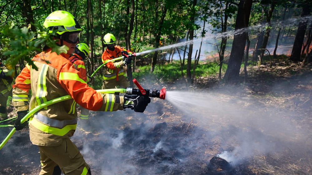 Mehr als 500 Einsatzkräfte übten die Waldbrandbekämpfung unter realen Bedingungen und bei hochsommerlichen Temperaturen.  / Foto: Philipp Schulze/dpa
