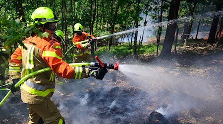 Mehr als 500 Einsatzkräfte übten die Waldbrandbekämpfung unter realen Bedingungen und bei hochsommerlichen Temperaturen.  / Foto: Philipp Schulze/dpa