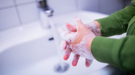 Regelmäßiges und gründliches Händewaschen hilft, die Bleikonzentration im Blut zu verringern. (Symbolbild) / Foto: Rolf Vennenbernd/dpa