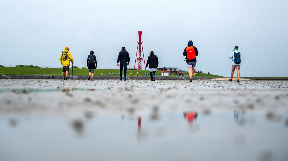 Zum Welterbegeburtstag gibt es an vielen Orten an der Küste kostenlose Führungen im Nationalpark Wattenmeer, die sich speziell an Einheimische richten. (Archivbild) / Foto: Sina Schuldt/dpa