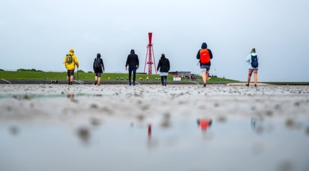 Zum Welterbegeburtstag gibt es an vielen Orten an der Küste kostenlose Führungen im Nationalpark Wattenmeer, die sich speziell an Einheimische richten. (Archivbild) / Foto: Sina Schuldt/dpa
