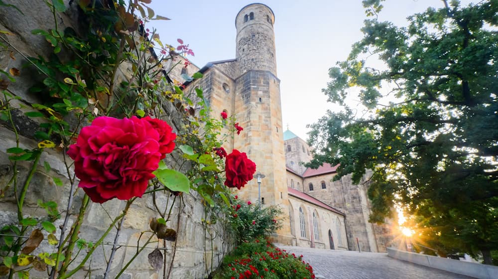 Die St. Michaeliskirche gehört zum Unesco-Weltkulturerbe in Hildesheim. (Archivbild) / Foto: Julian Stratenschulte/dpa