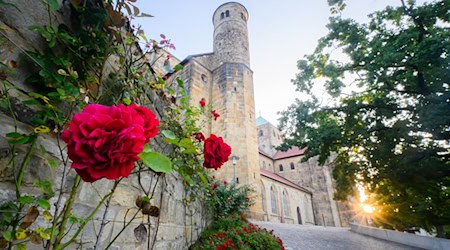 Die St. Michaeliskirche gehört zum Unesco-Weltkulturerbe in Hildesheim. (Archivbild) / Foto: Julian Stratenschulte/dpa
