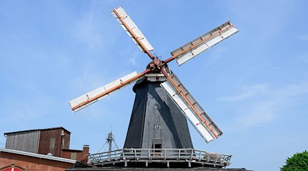 In einer alten Mühle in Bardowick bei Lüneburg wird das Mahlen noch als alte Handwerkskunst betrieben. / Foto: Philipp Schulze/dpa