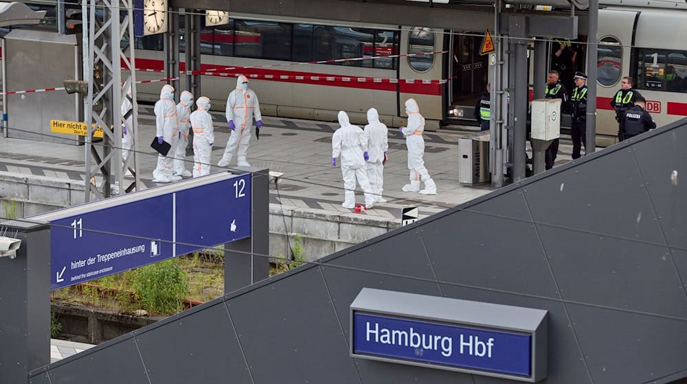 Bei dem Messerangriff vom 23. Mai 2025 wurden nach jüngsten Angaben der Staatsanwaltschaft 19 Menschen im Hamburger Hauptbahnhof verletzt. (Archivbild) / Foto: Georg Wendt/dpa